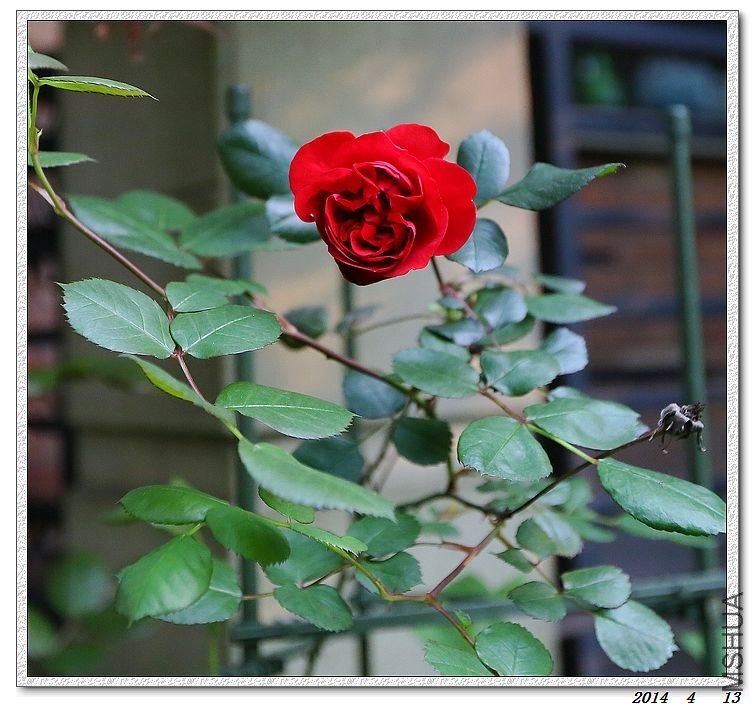2014041401.jpg