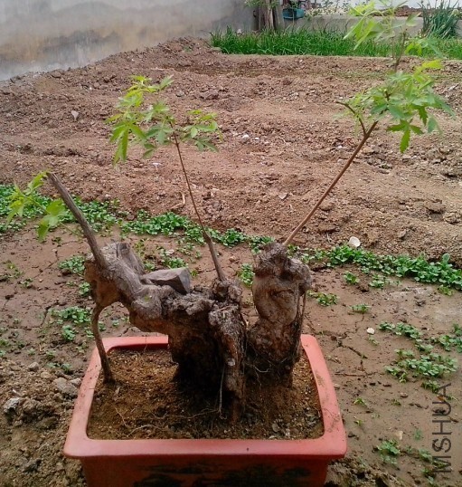 QQͼƬ20140414201552.jpg
