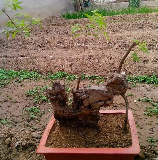 QQͼƬ20140414201558.jpg