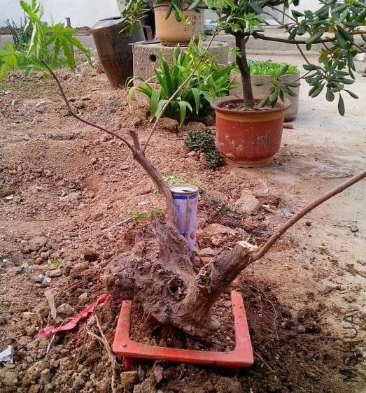 QQͼƬ20140414201934.jpg