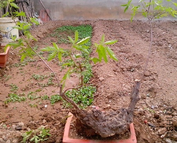 QQͼƬ20140414203231.jpg