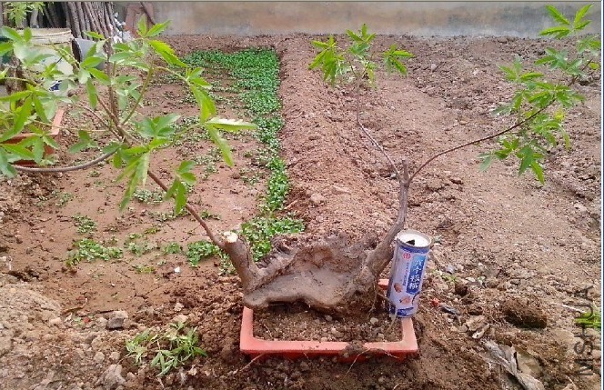 QQͼƬ20140414203235.jpg