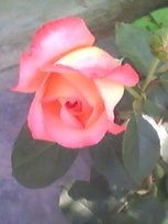 YSOHaQVmfwAAYpgoLQc0XAAA&amp;a=9&amp;b=12&amp;bo=8ABAAQAAAAABAJY!&amp;w=153&amp;h=204&amp;rf.jpg