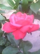 YVhEMwfBXwAAYivCCQaOeQAA&amp;a=12&amp;b=10&amp;bo=8ABAAQAAAAABAJY!&amp;w=158&amp;h=211&amp;r.jpg