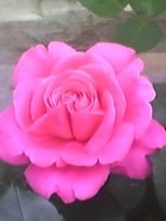 YWJMMwd5XAAAYmbnOgdQXAAA&amp;bo=8ABAAQAAAAABAJY!&amp;w=153&amp;h=204&amp;rf=iphoto.jpg