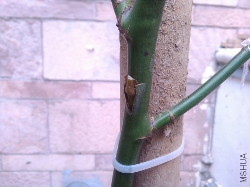 ������С IMG_20140414_150245.jpg