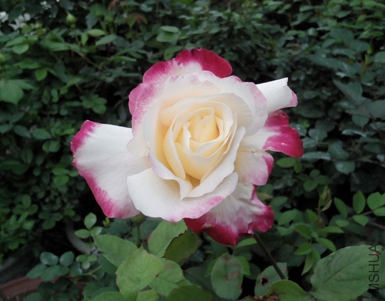 QQͼƬ20140414224848.jpg