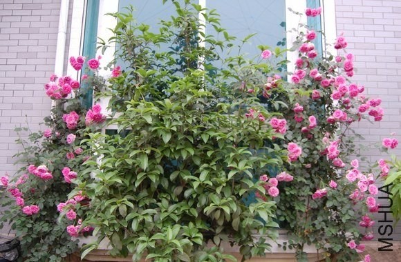 DSC_0108.jpg