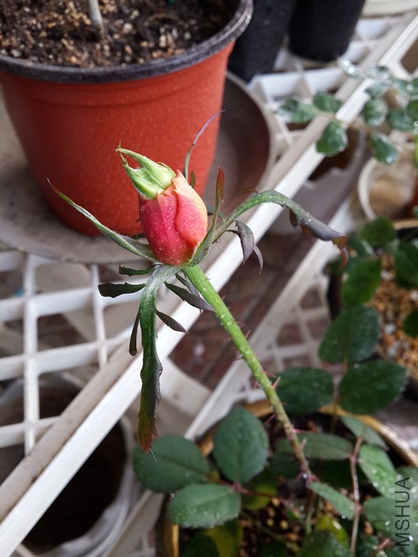 20140404_074238_����.jpg