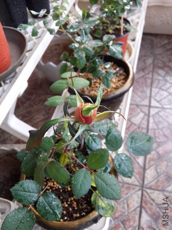 20140404_074331_����.jpg