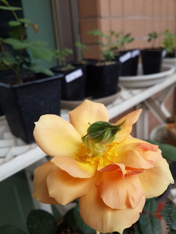 20140407_102400_����.jpg