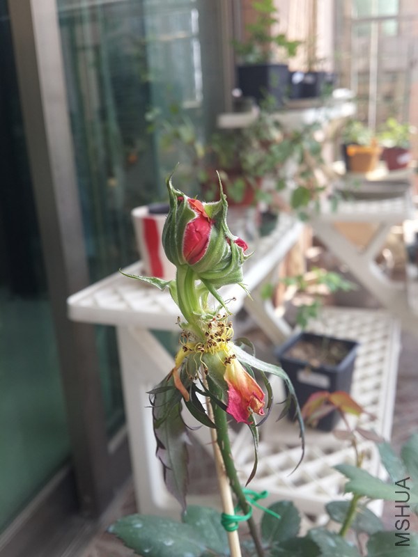 20140412_101219_����.jpg