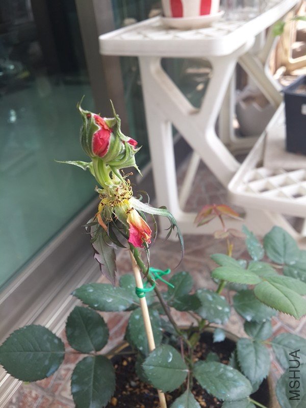 20140412_101200_����.jpg