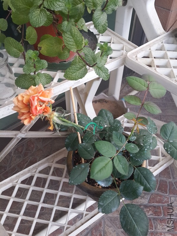 20140415_074130_����.jpg
