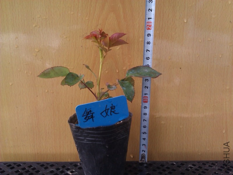 IMAG3414.jpg