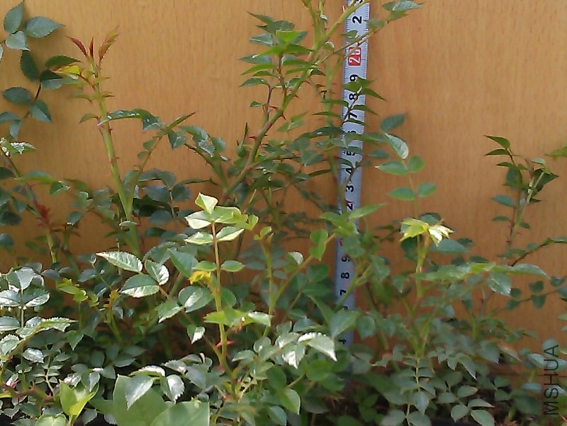 IMAG3430.jpg