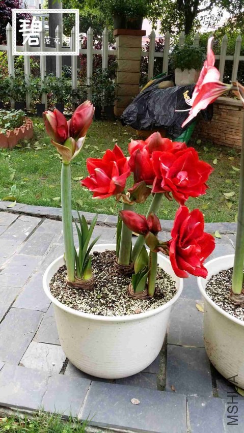 20140411_150359_����.jpg