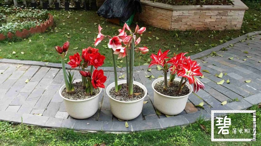 20140411_150409_����.jpg