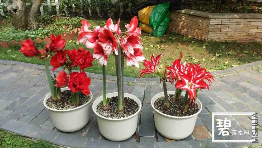 20140414_101846_����.jpg