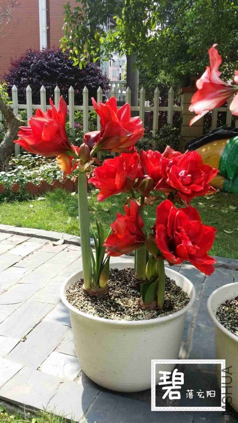 20140414_142742_����.jpg