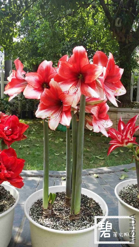 20140414_142745_����.jpg