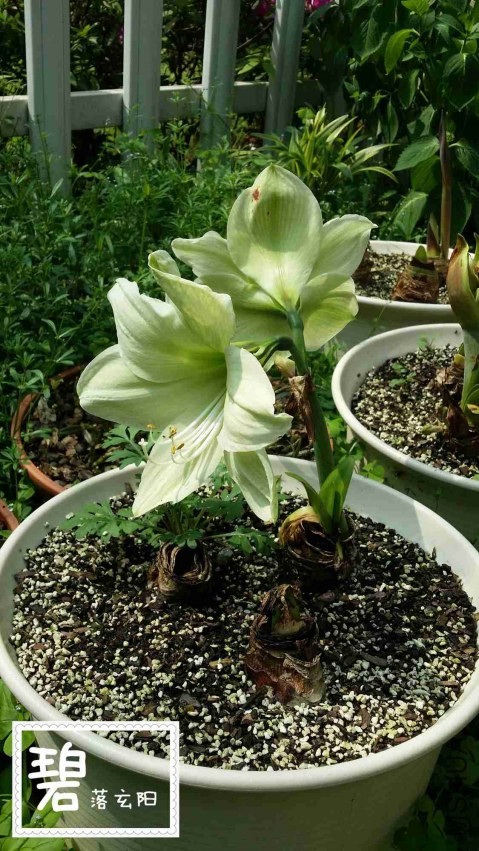 20140414_142834_����.jpg