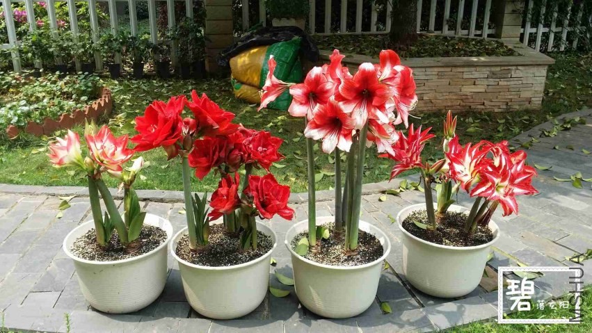 20140415_123233_����.jpg