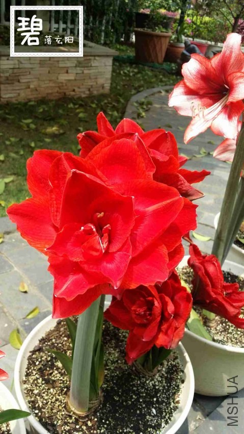 20140415_123246_����.jpg