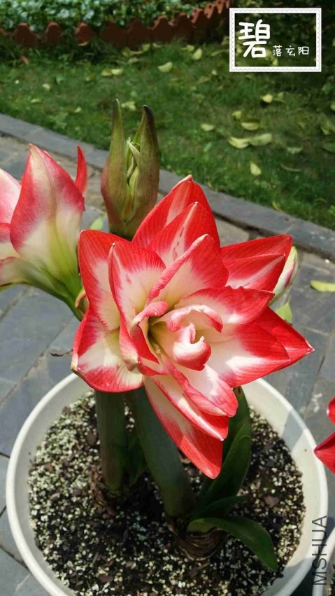 20140415_123251_����.jpg