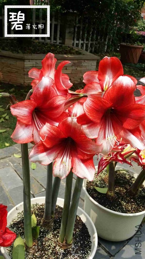 20140415_123259_����.jpg