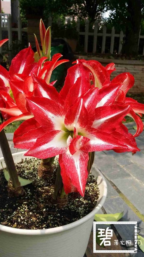 20140415_123306_����.jpg