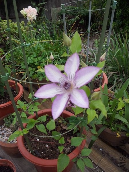 20140414_123112.jpg