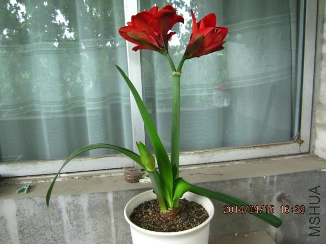 IMG_1699.JPG