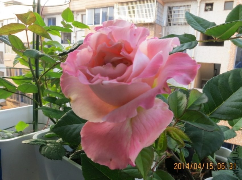 QQͼƬ20140415174454.jpg