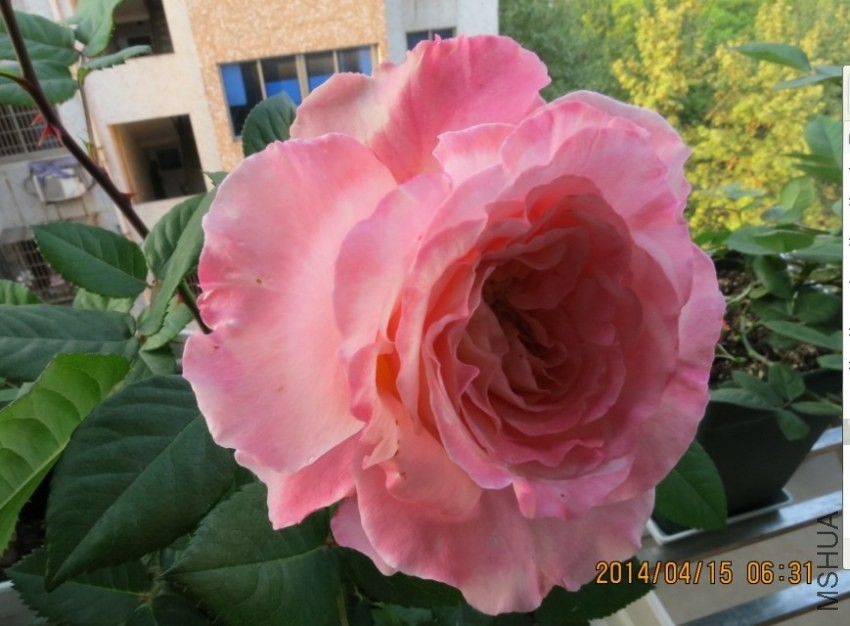 QQͼƬ20140415174543.jpg