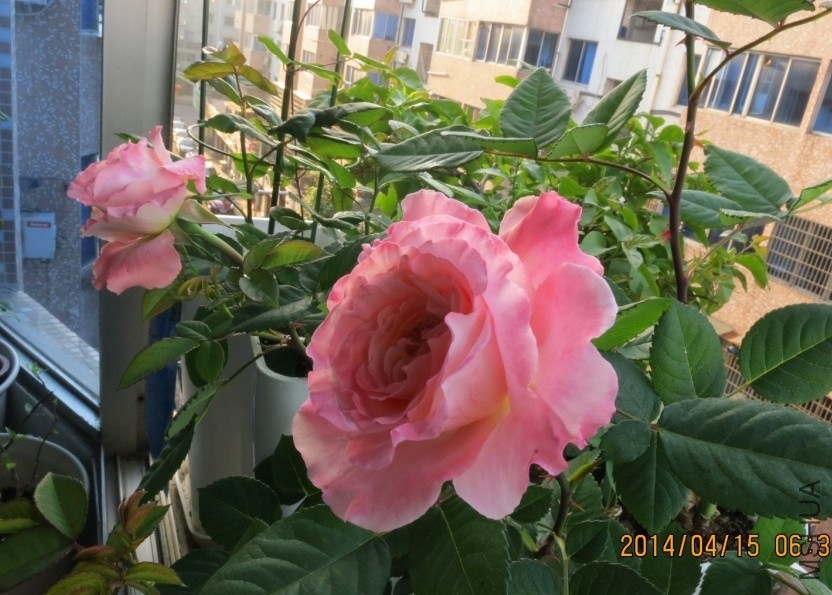 QQͼƬ20140415174611.jpg