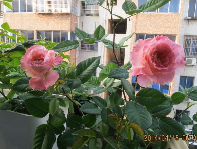 QQͼƬ20140415180723.jpg