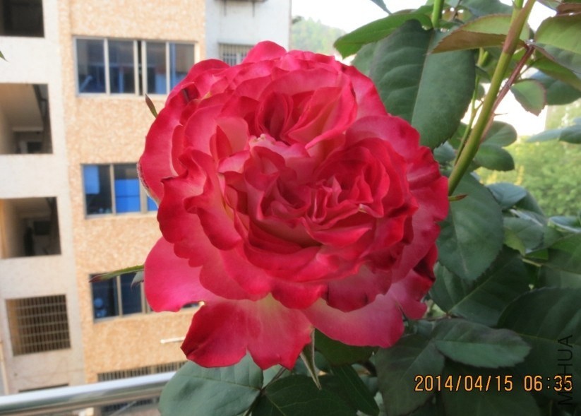 QQͼƬ20140415174639.jpg