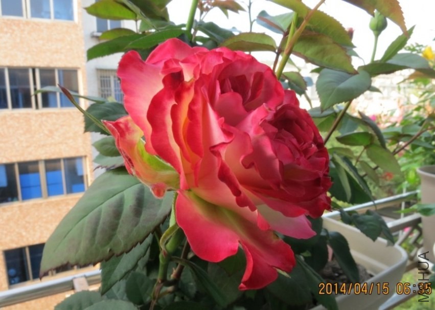 QQͼƬ20140415174701.jpg