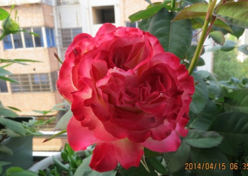 QQͼƬ20140415175026.jpg
