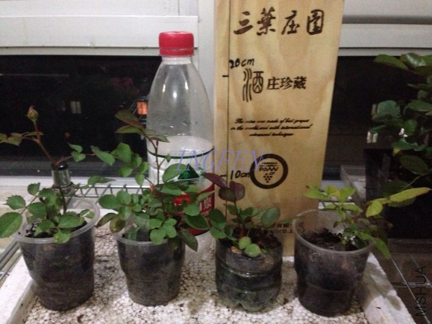 QQͼƬ20140415205114.jpg