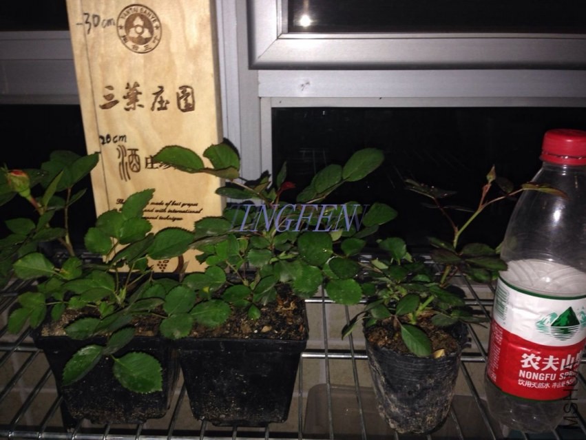 QQͼƬ20140415205118.jpg