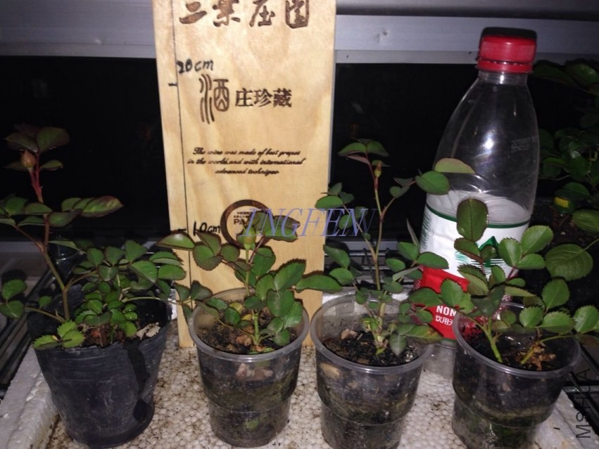 QQͼƬ20140415205132.jpg