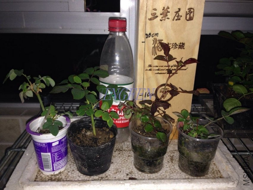 QQͼƬ20140415205136.jpg