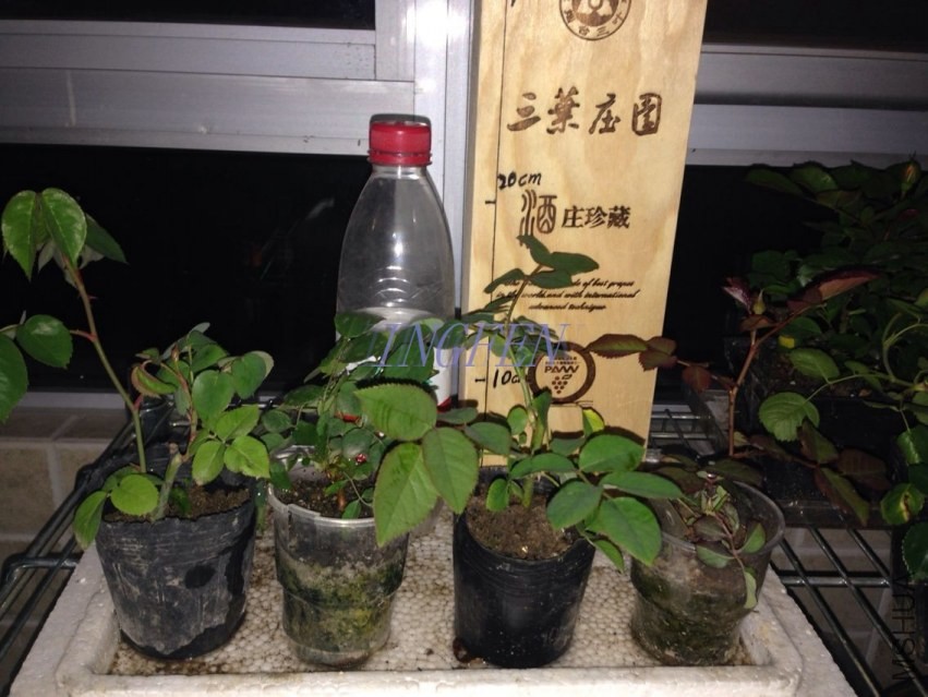 QQͼƬ20140415205140.jpg
