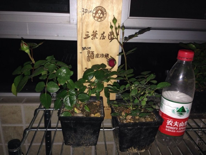QQͼƬ20140415211330.jpg