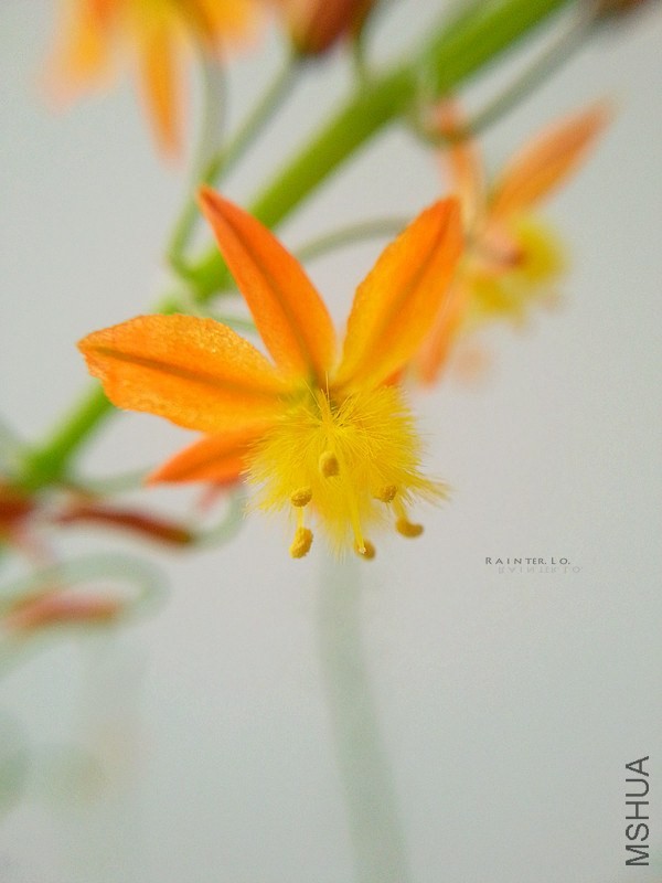 20140403_154418.jpg