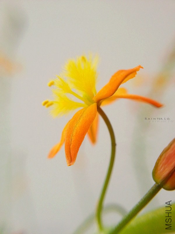 20140403_154455.jpg