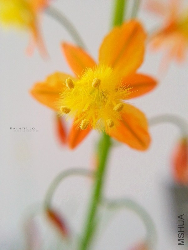 20140403_154555.jpg