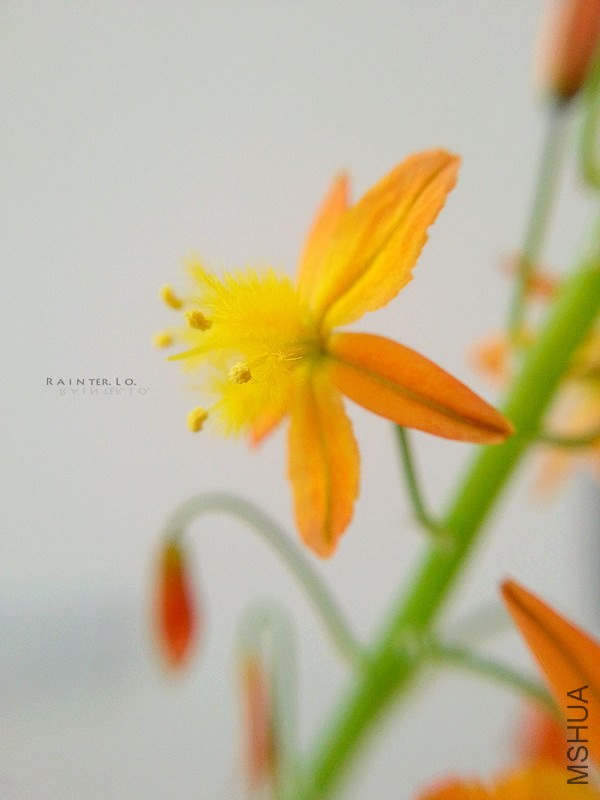 20140403_154706.jpg